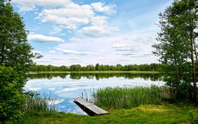 Quelles activités faire quand on loge dans un camping proche de Lyon ?