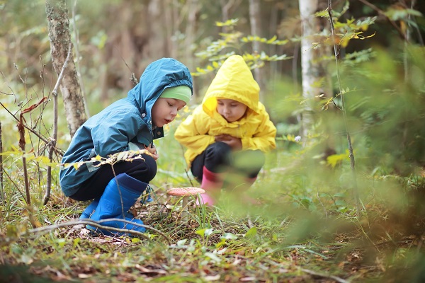 Enfants dans foret