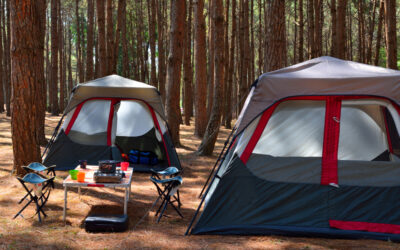 Pourquoi venir au camping à la campagne ?