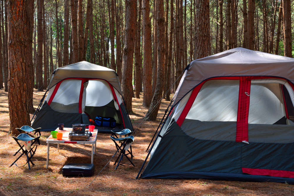 Pourquoi venir au camping à la campagne ?