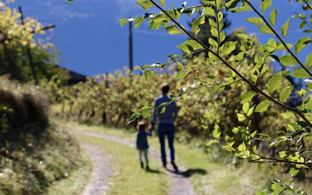 Randonnées dans les Monts du Lyonnais : nos plus belles balades