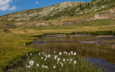 Que faire au Parc naturel du Pilat ?