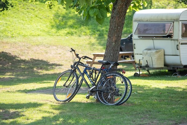 vélo contre un arbre